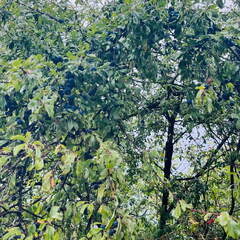 22-09-10 17-07-38 1948